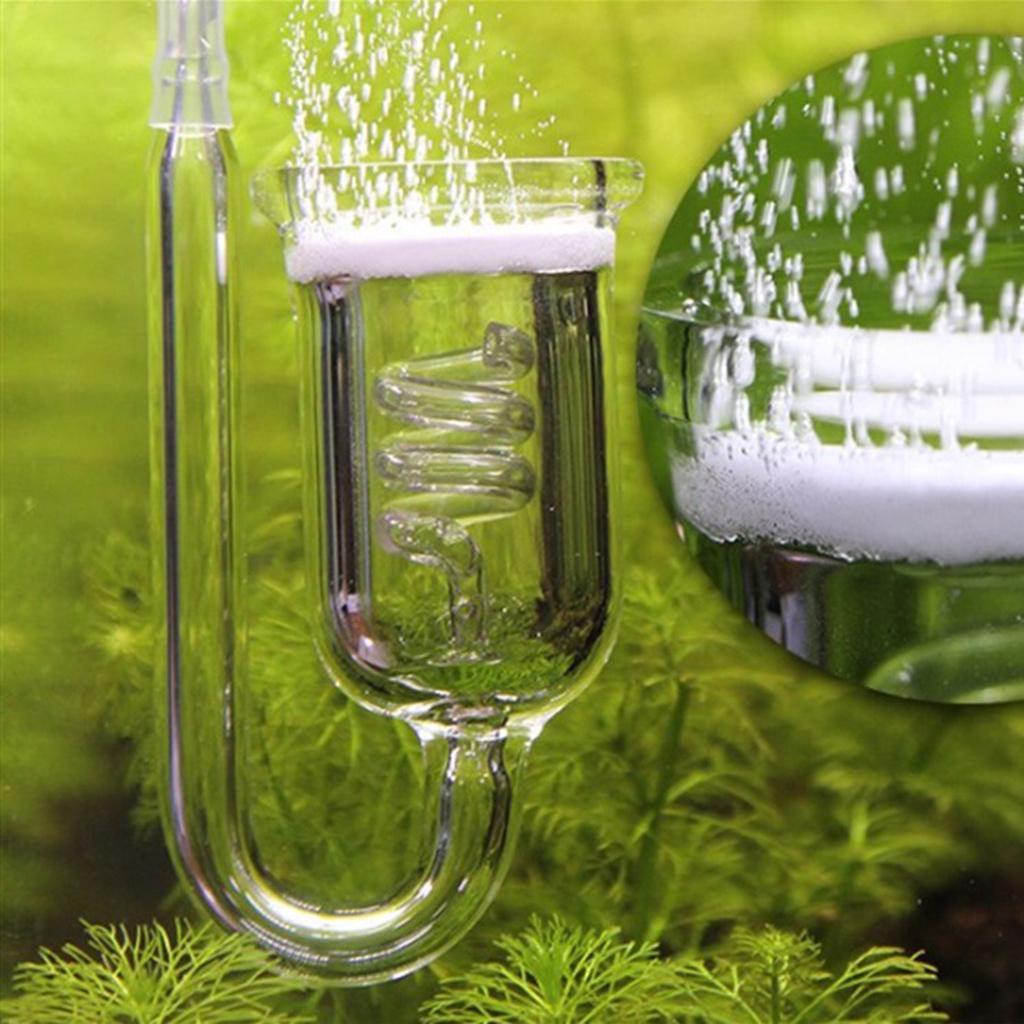 Wytrzymały szklany dyfuzor CO2 – Aquarium Planted Tank Setup recenzja i cena