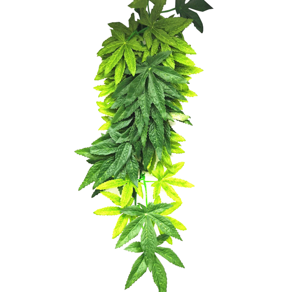GORĄCA WYPRZEDAŻ 30/40/50CM Ak – Planted Aquarium For Sale recenzja i cena