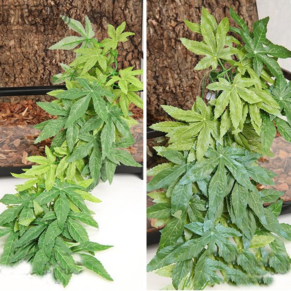 GORĄCA WYPRZEDAŻ 30/40/50CM Ak – Planted Aquarium For Sale recenzja i cena