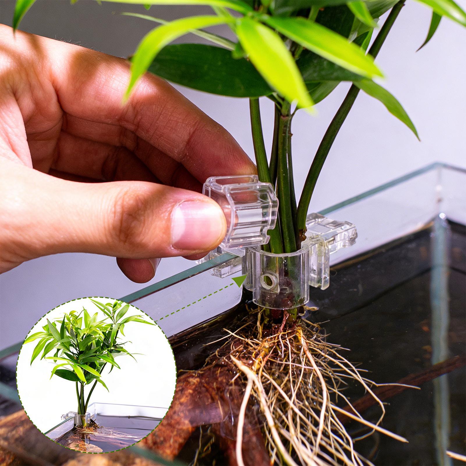 Uchwyt na rośliny do akwarium, – Aquarium Planted Soil recenzja i cena
