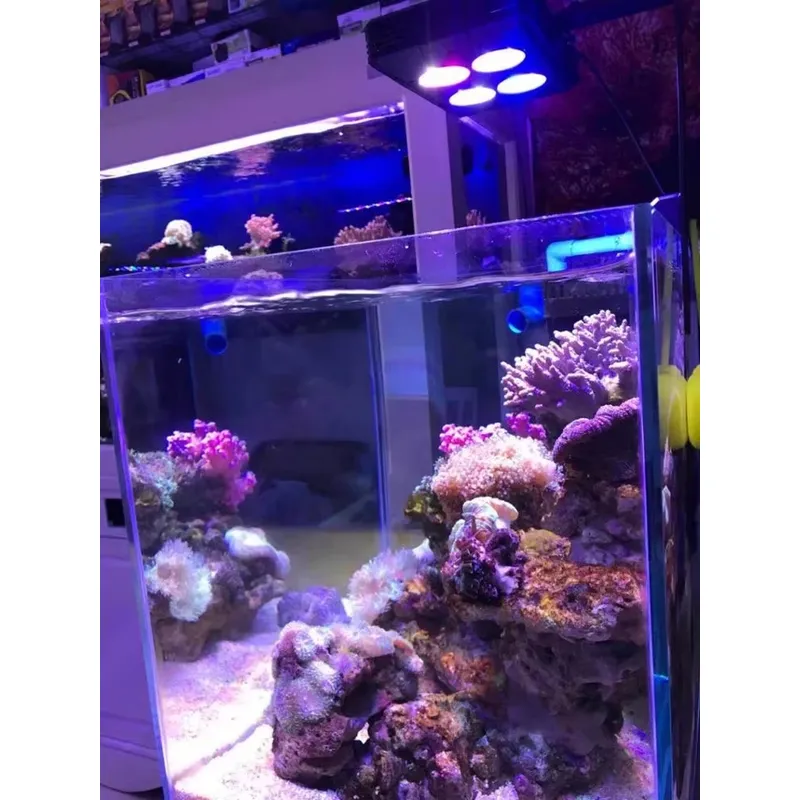 Gako A052 52W Popularne Oświet – Planted Aquarium For Sale recenzja i cena