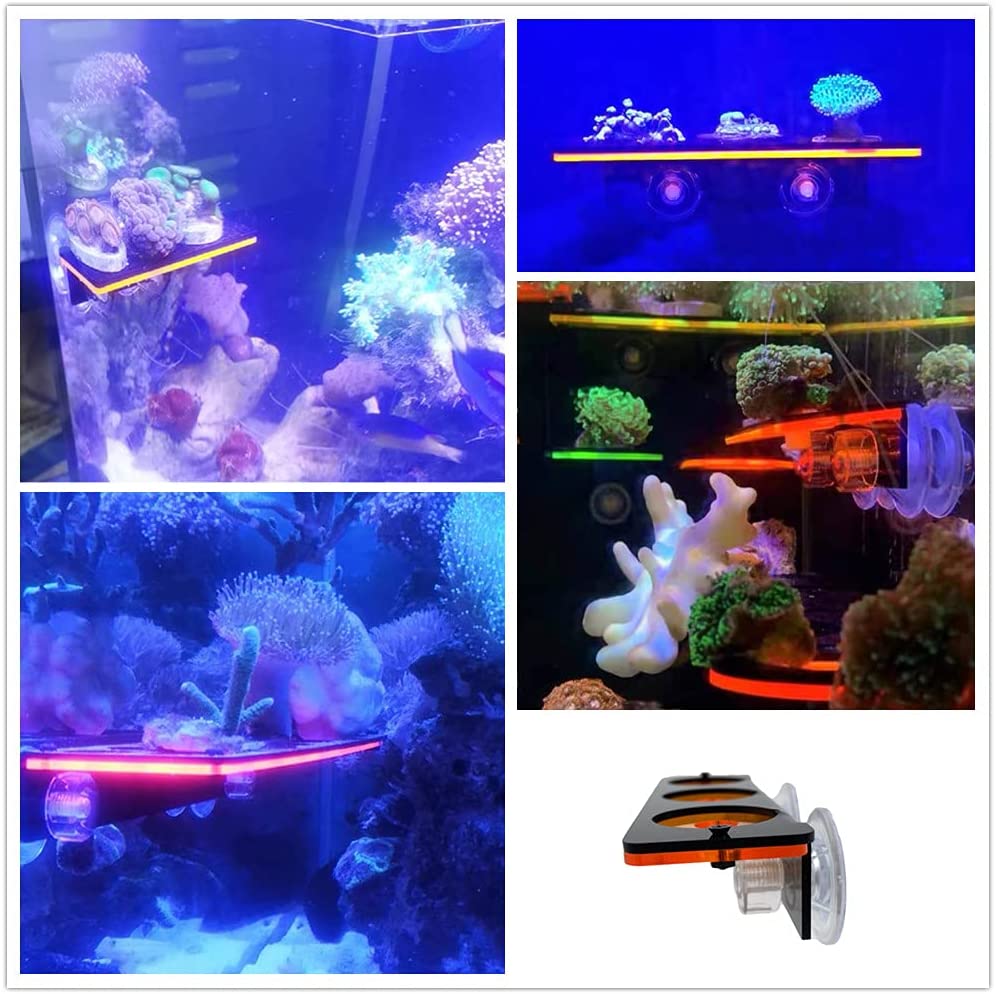 Fluorescencyjny koralowy wspor – Aquarium Plant Holder recenzja i cena