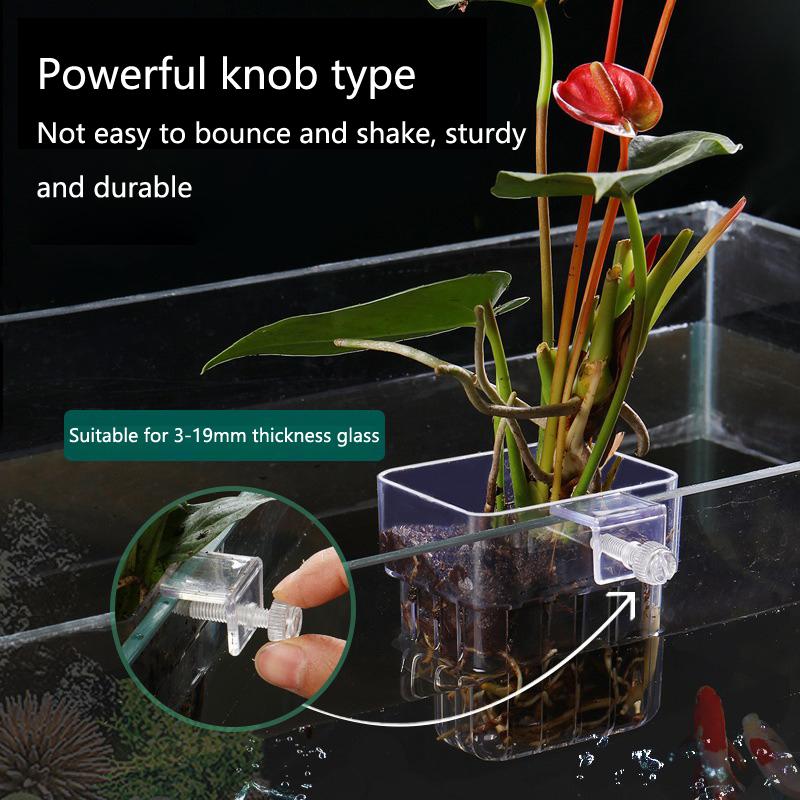 Kubek do hydroponicznego upraw – Aquarium Planted Tank Setup recenzja i cena