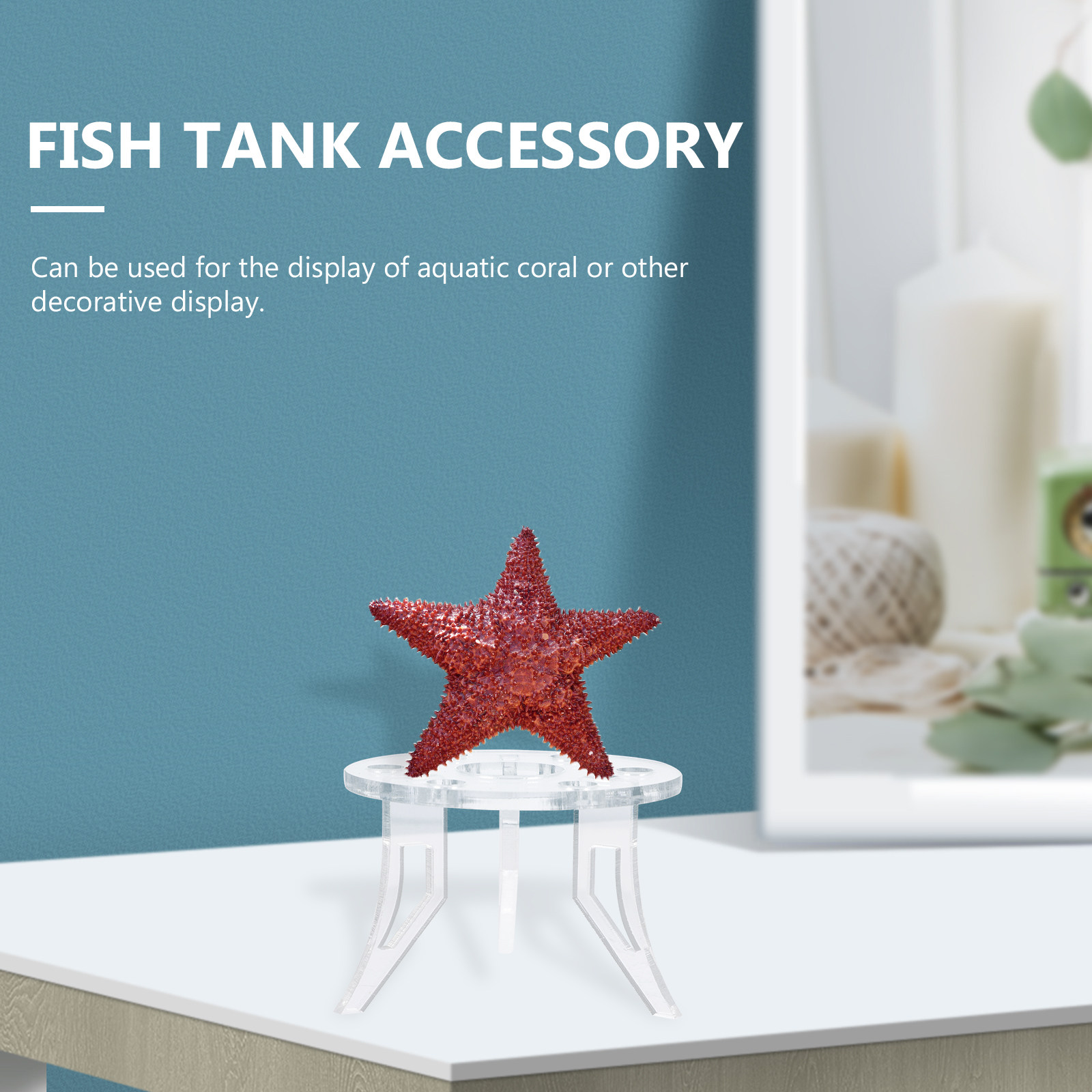 1 szt. Stojak na korale, stylo – Aquarium Planted Tank Setup recenzja i cena