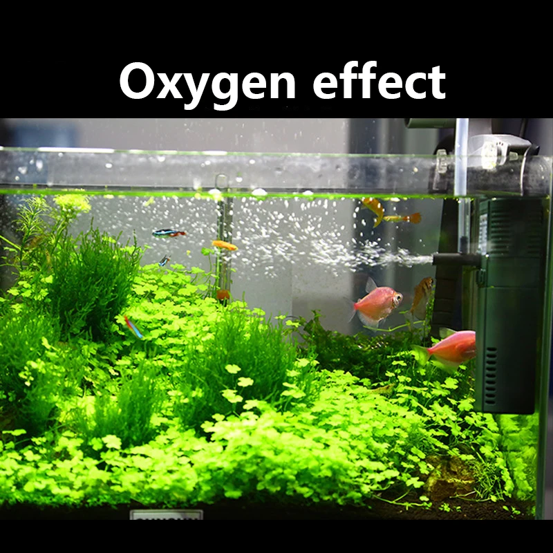 SUNSUN mini nano 111B 311B 611 – Planted Aquarium Products recenzja i cena